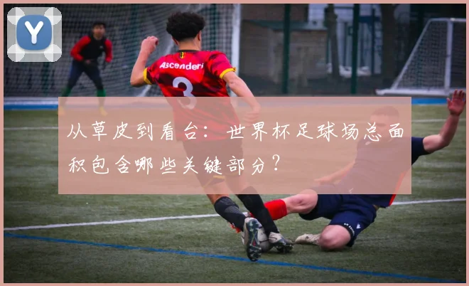从草皮到看台：世界杯足球场总面积包含哪些关键部分？