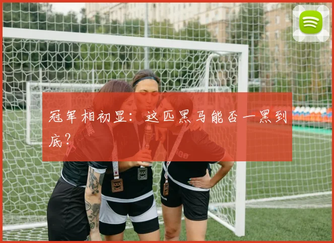 冠军相初显：这匹黑马能否一黑到底？