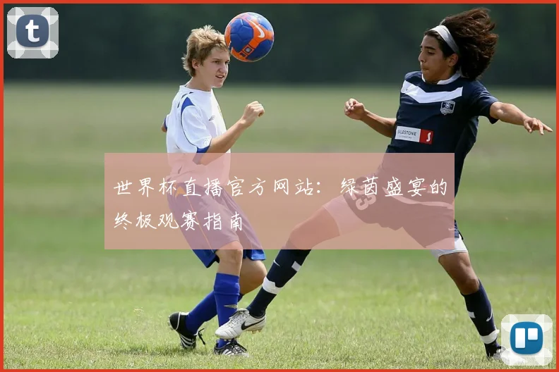 世界杯直播官方网站:绿茵盛宴的终极观赛指南