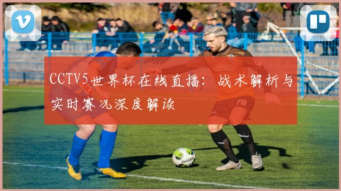 CCTV5世界杯在线直播：战术解析与实时赛况深度解读