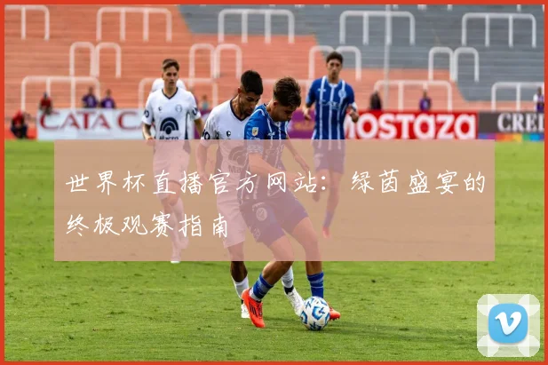 世界杯直播官方网站:绿茵盛宴的终极观赛指南