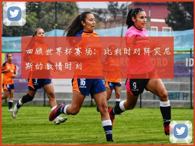 回顾世界杯赛场：比利时对阵突尼斯的激情时刻