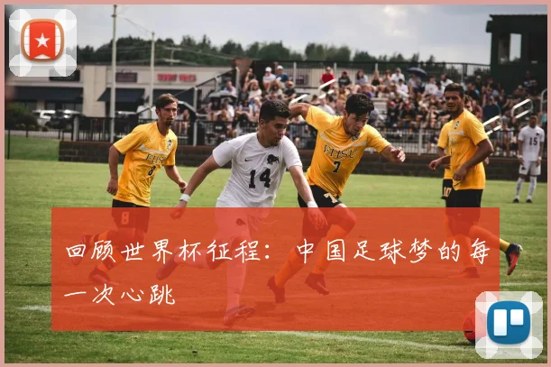 回顾世界杯征程：中国足球梦的每一次心跳