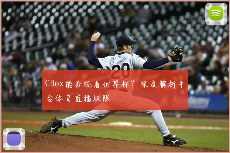 CBox能否观看世界杯？深度解析平台体育直播权限