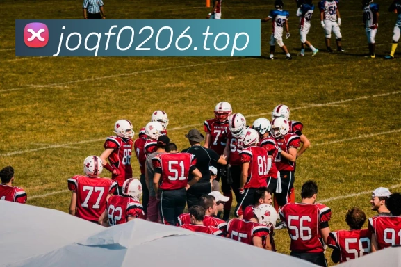 开云在线登录入口官网发展历程